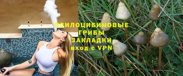 сатива Белокуриха