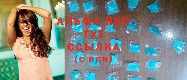 сатива Белокуриха