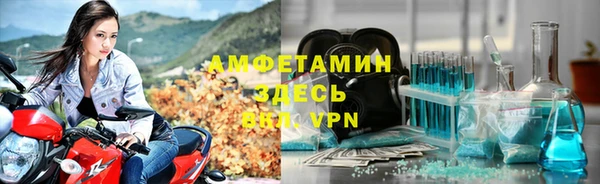 сатива Белокуриха